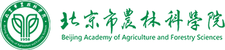 国内外高校